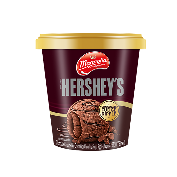 Take Home Chocolate Fudge Ripple